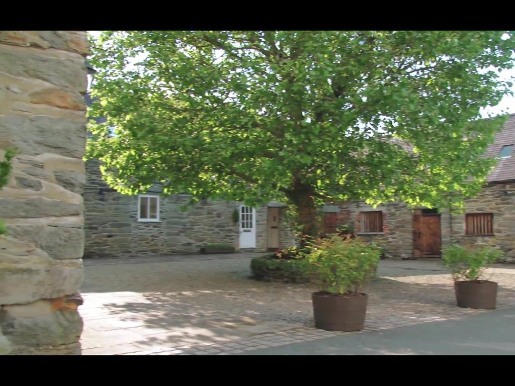 Bryn Melyn Farm Cottages Bala Eksteriør bilde